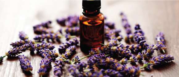 Aromatherapy has many healing properties. This post provides a few recommendations for you to sample.