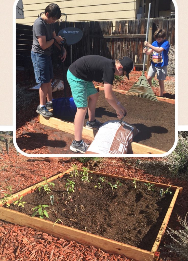 Get your family members helping out around the garden! My niece and nephews helped me earlier this month with my first garden.